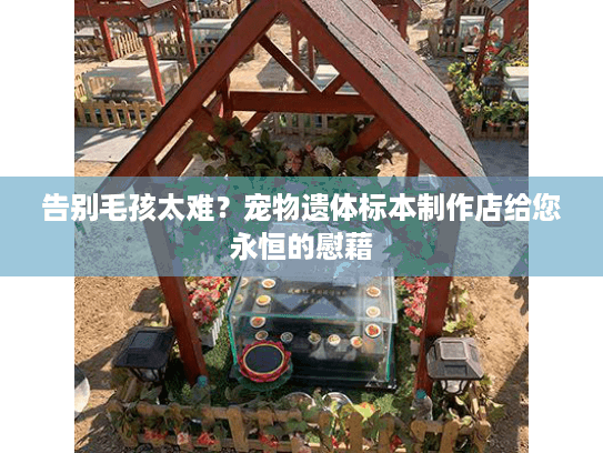 告别毛孩太难？宠物遗体标本制作店给您永恒的慰藉