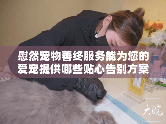 慰然宠物善终服务能为您的爱宠提供哪些贴心告别方案？