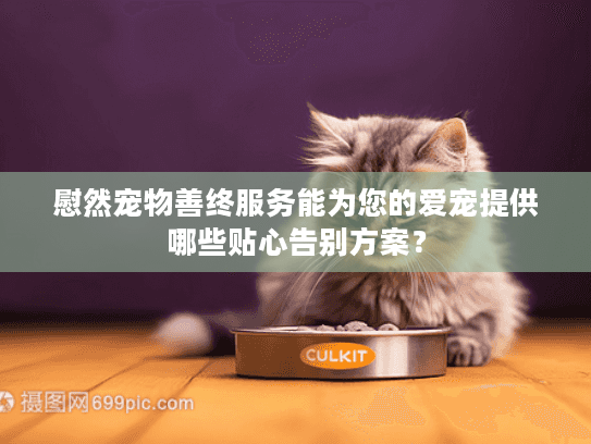 慰然宠物善终服务能为您的爱宠提供哪些贴心告别方案？
