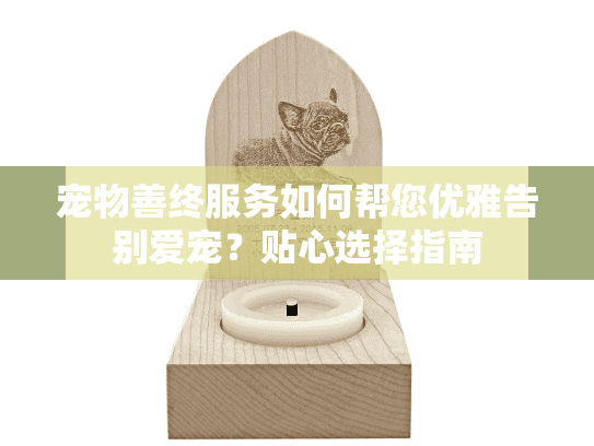 宠物善终服务如何帮您优雅告别爱宠？贴心选择指南