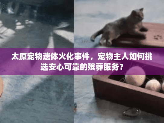 太原宠物遗体火化事件，宠物主人如何挑选安心可靠的殡葬服务？