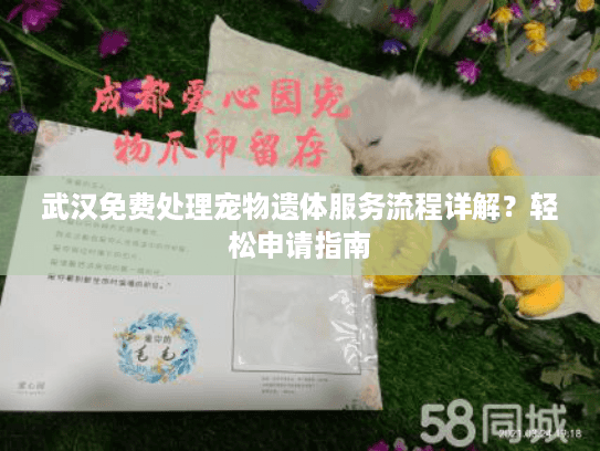 武汉免费处理宠物遗体服务流程详解？轻松申请指南