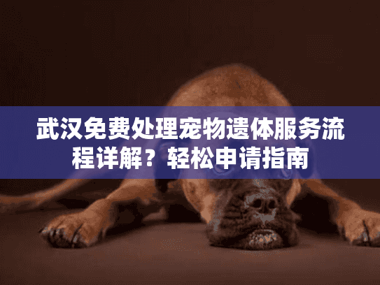 武汉免费处理宠物遗体服务流程详解？轻松申请指南