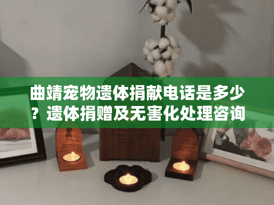 曲靖宠物遗体捐献电话是多少？遗体捐赠及无害化处理咨询指南