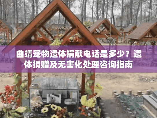曲靖宠物遗体捐献电话是多少？遗体捐赠及无害化处理咨询指南