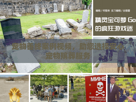 宠物善终案例视频，助您选择安心宠物殡葬服务