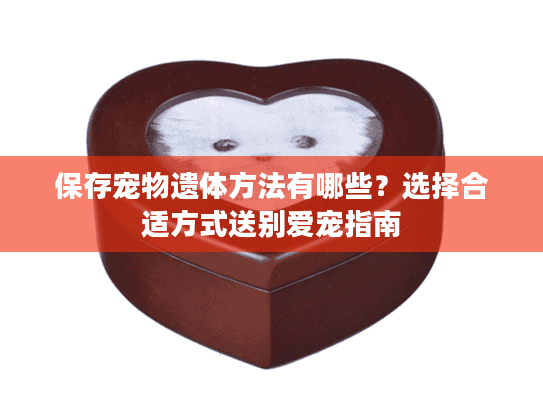 保存宠物遗体方法有哪些？选择合适方式送别爱宠指南