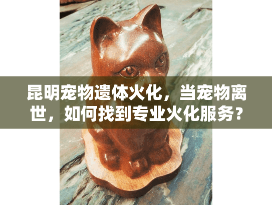 昆明宠物遗体火化，当宠物离世，如何找到专业火化服务？