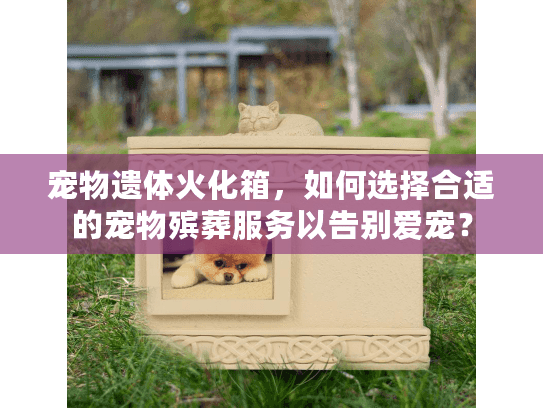 宠物遗体火化箱，如何选择合适的宠物殡葬服务以告别爱宠？
