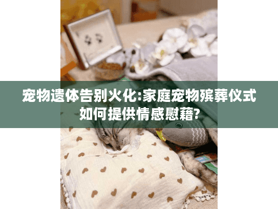宠物遗体告别火化:家庭宠物殡葬仪式如何提供情感慰藉?