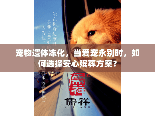 宠物遗体冻化，当爱宠永别时，如何选择安心殡葬方案？