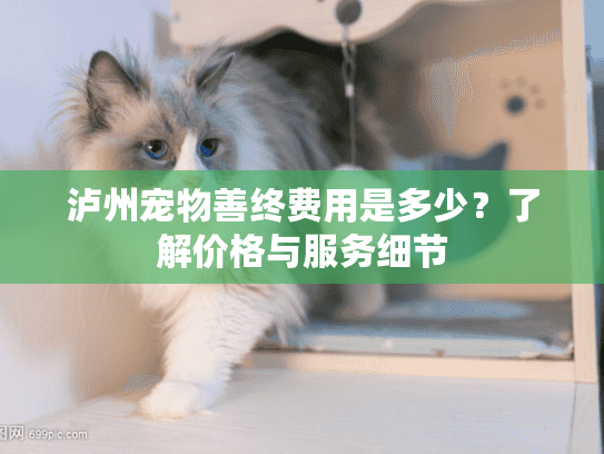 泸州宠物善终费用是多少？了解价格与服务细节