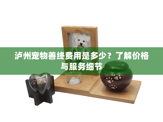 泸州宠物善终费用是多少？了解价格与服务细节