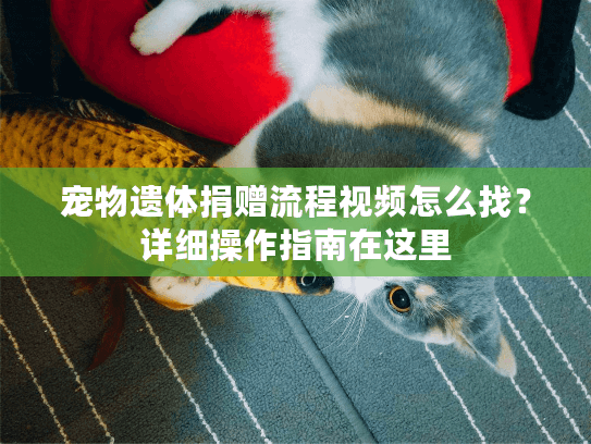 宠物遗体捐赠流程视频怎么找？详细操作指南在这里