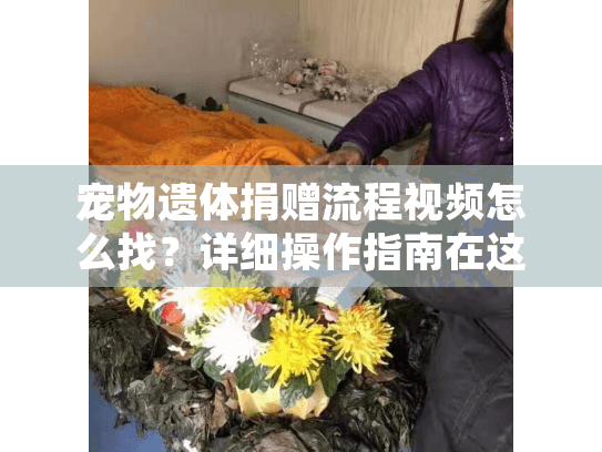 宠物遗体捐赠流程视频怎么找？详细操作指南在这里
