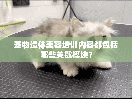 宠物遗体美容培训内容都包括哪些关键模块？