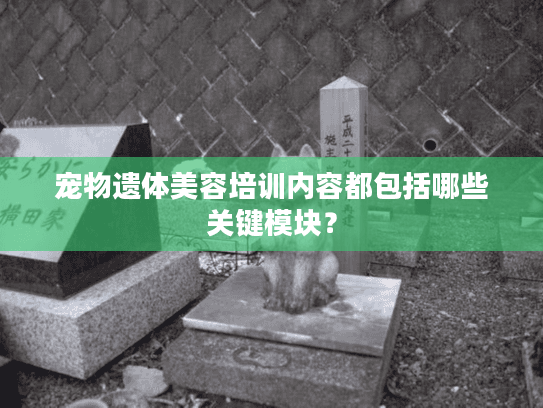 宠物遗体美容培训内容都包括哪些关键模块？