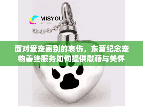 面对爱宠离别的哀伤，东营纪念宠物善终服务如何提供慰藉与关怀