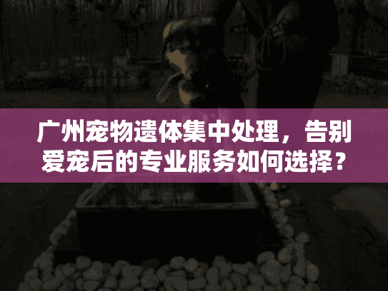 广州宠物遗体集中处理，告别爱宠后的专业服务如何选择？