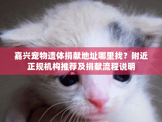 嘉兴宠物遗体捐献地址哪里找？附近正规机构推荐及捐献流程说明