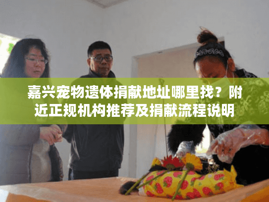 嘉兴宠物遗体捐献地址哪里找？附近正规机构推荐及捐献流程说明