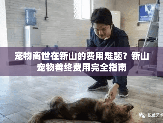 宠物离世在新山的费用难题？新山宠物善终费用完全指南