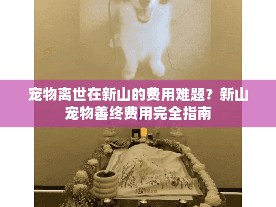 宠物离世在新山的费用难题？新山宠物善终费用完全指南