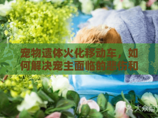 宠物遗体火化移动车，如何解决宠主面临的悲伤和不便？