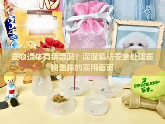 宠物遗体有病毒吗？深度解析安全处理宠物遗体的实用指南