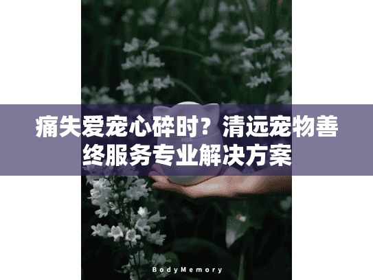 痛失爱宠心碎时？清远宠物善终服务专业解决方案