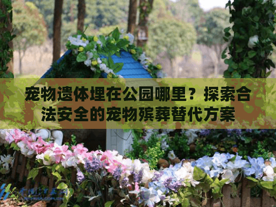 宠物遗体埋在公园哪里？探索合法安全的宠物殡葬替代方案