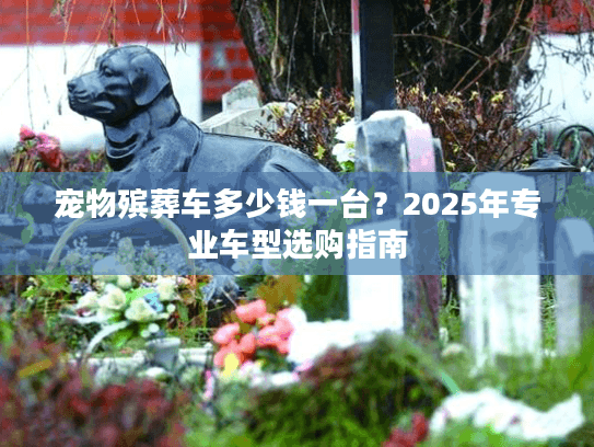 宠物殡葬车多少钱一台？2025年专业车型选购指南