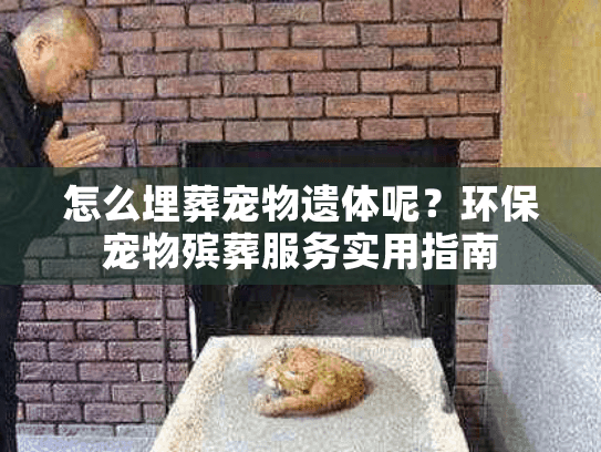 怎么埋葬宠物遗体呢？环保宠物殡葬服务实用指南