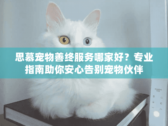 思慕宠物善终服务哪家好？专业指南助你安心告别宠物伙伴