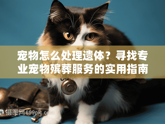 宠物怎么处理遗体？寻找专业宠物殡葬服务的实用指南