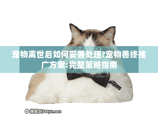 宠物离世后如何妥善处理?宠物善终推广方案:完整策略指南