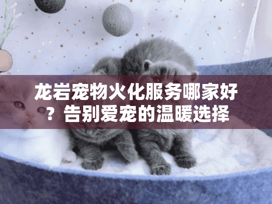 龙岩宠物火化服务哪家好？告别爱宠的温暖选择