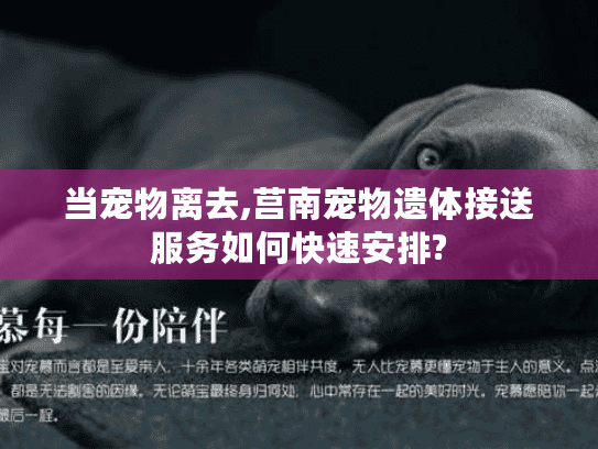 当宠物离去,莒南宠物遗体接送服务如何快速安排?