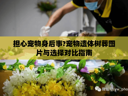 担心宠物身后事?宠物遗体树葬图片与选择对比指南