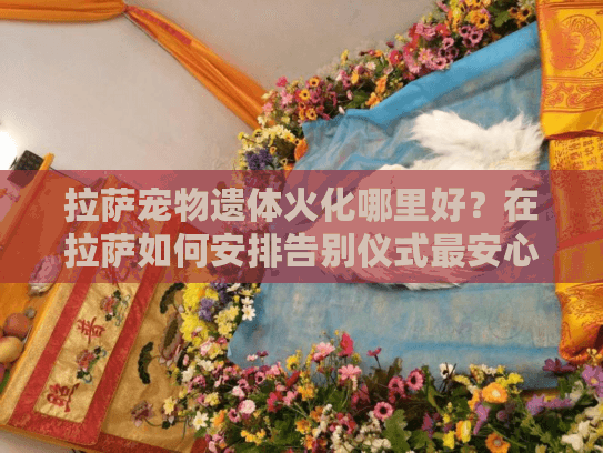 拉萨宠物遗体火化哪里好？在拉萨如何安排告别仪式最安心？