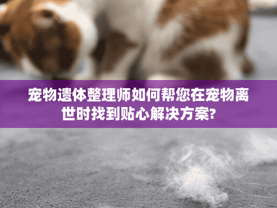 宠物遗体整理师如何帮您在宠物离世时找到贴心解决方案?