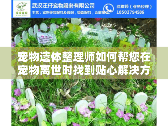 宠物遗体整理师如何帮您在宠物离世时找到贴心解决方案?
