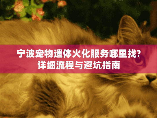 宁波宠物遗体火化服务哪里找?详细流程与避坑指南