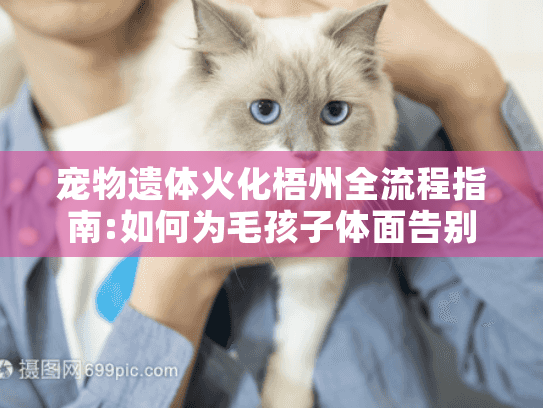 宠物遗体火化梧州全流程指南:如何为毛孩子体面告别?