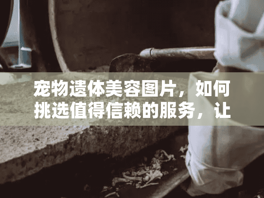宠物遗体美容图片，如何挑选值得信赖的服务，让爱宠体面告别？