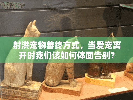 射洪宠物善终方式，当爱宠离开时我们该如何体面告别？