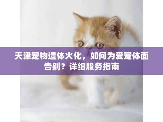 天津宠物遗体火化，如何为爱宠体面告别？详细服务指南