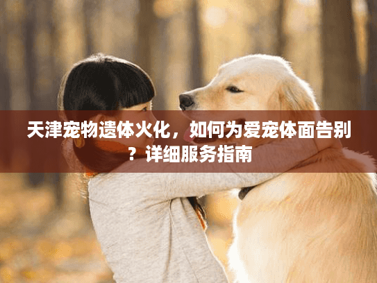 天津宠物遗体火化，如何为爱宠体面告别？详细服务指南