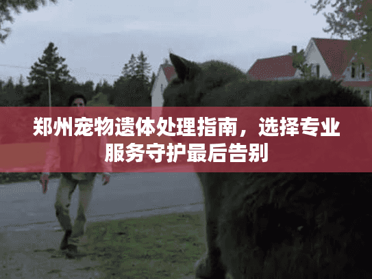郑州宠物遗体处理指南，选择专业服务守护最后告别