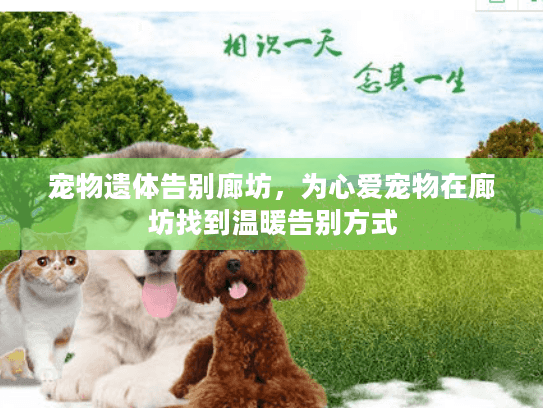 宠物遗体告别廊坊,为心爱宠物在廊坊找到温暖告别方式 宠物遗体告别廊坊,为心爱宠物在廊坊找到温暖告别方式